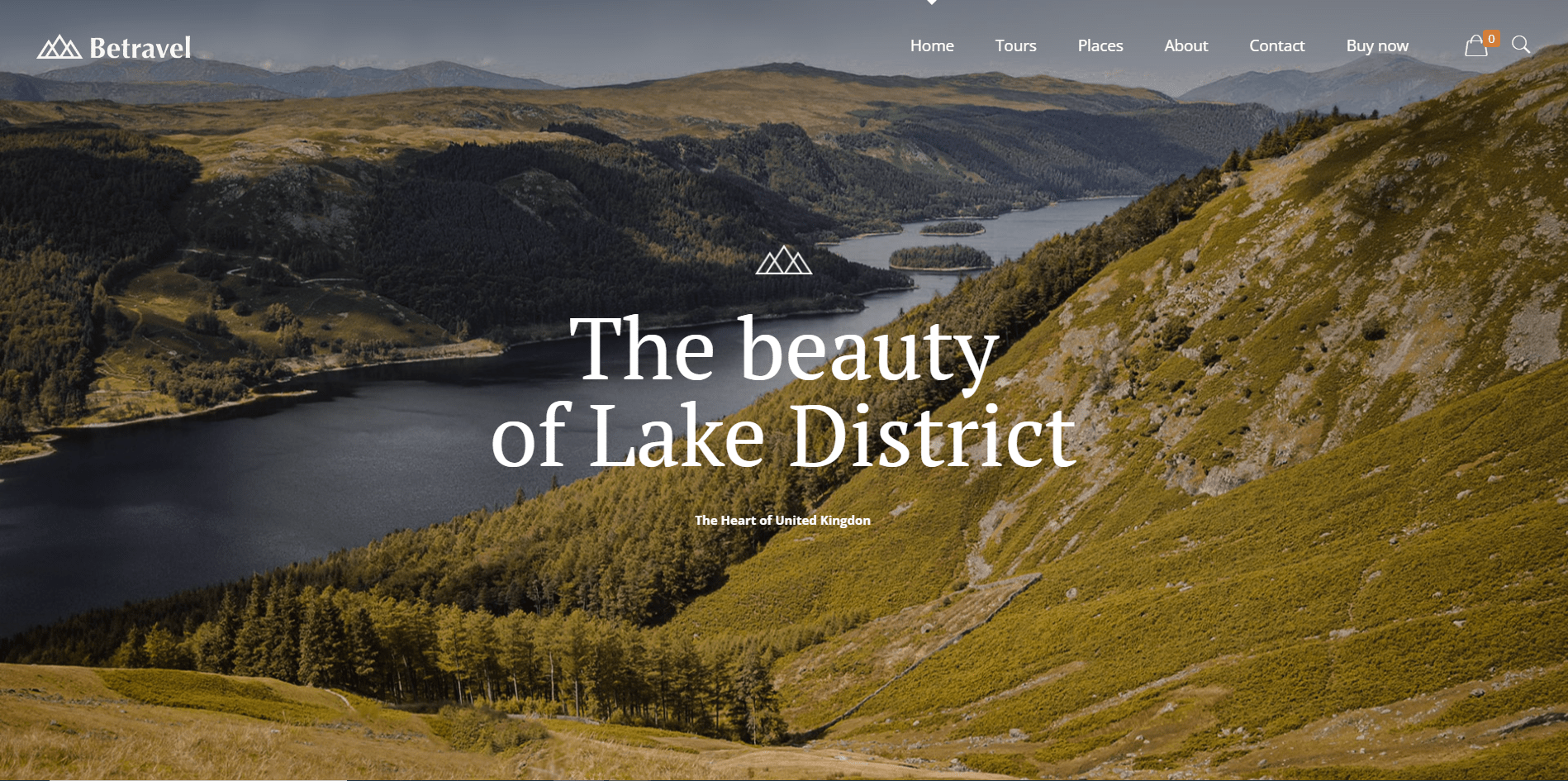 website development company